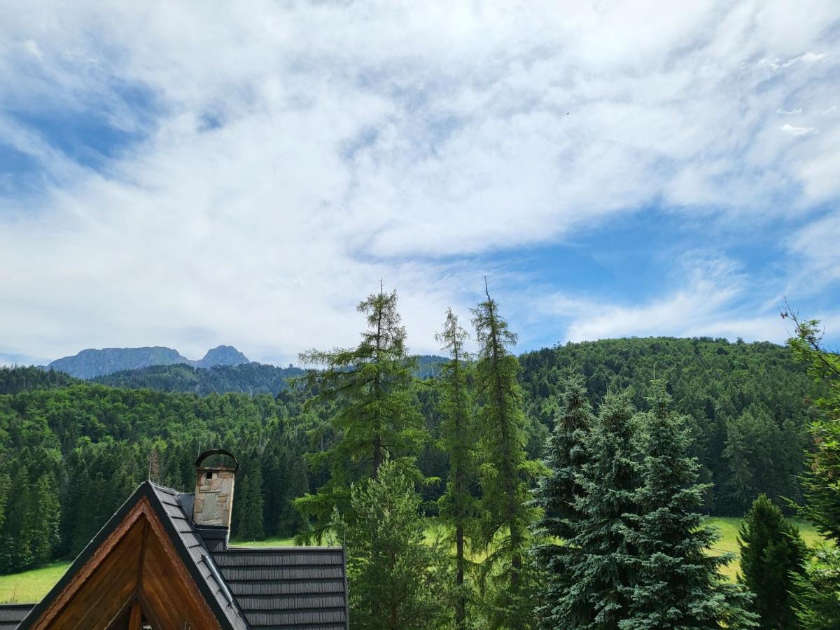 Willa Na Potoku Zakopane Exterior foto