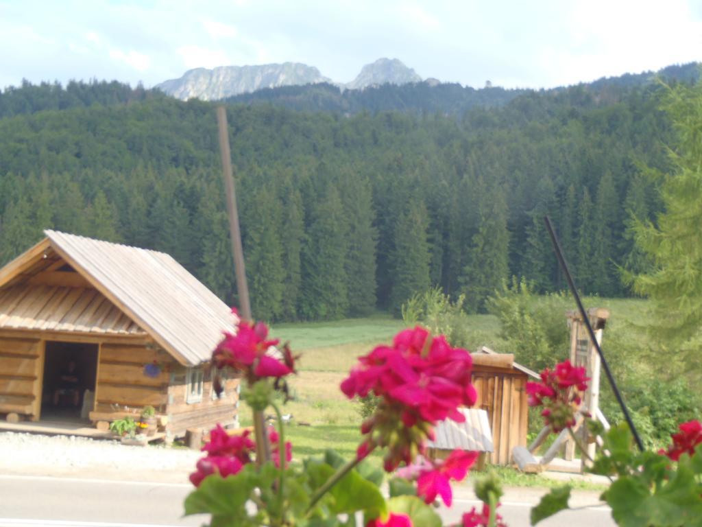 Willa Na Potoku Zakopane Exterior foto